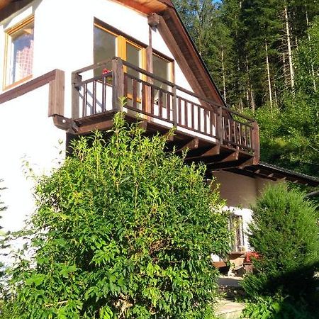 Aparthotel Rulfik Hinterberg  Zewnętrze zdjęcie
